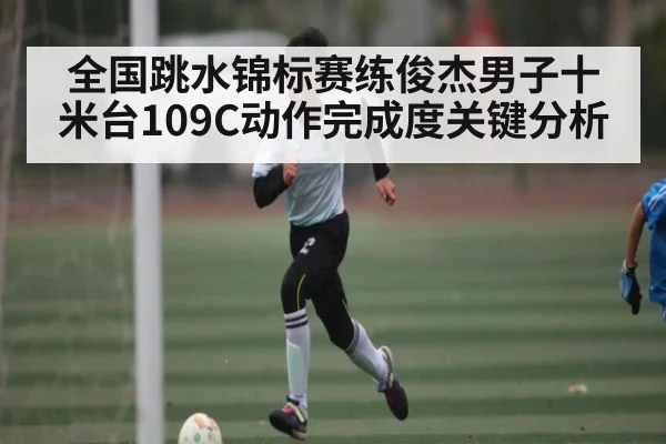 全国跳水锦标赛练俊杰男子十米台109C动作完成度关键分析